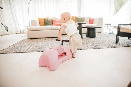 SCOOTANDRIDE My First Ewolucyjny jeździk pchacz 3w1 6 m+ Rose