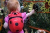 Plecaczek LittleLife Animal - Biedronka