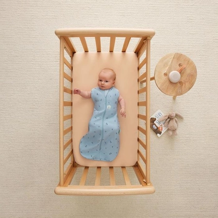 ergoPouch Otulacz Śpiworek 3-6M 0.2TOG Dragonflies