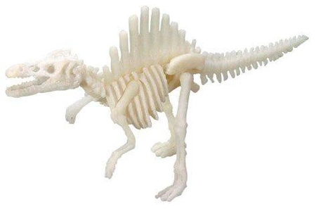 Bones&More, Duży szkielet dinozaura - wykopalisko odcisk łapy