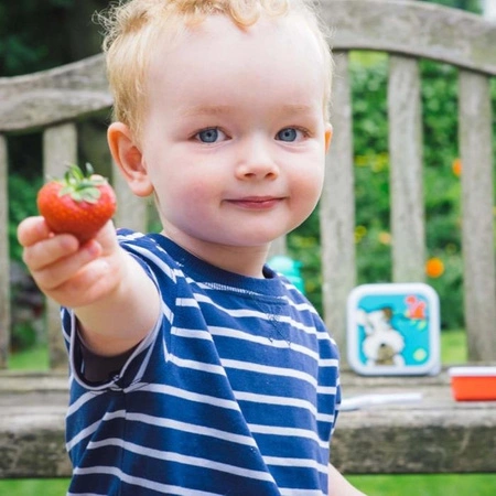 Tum Tum Pojemniki Na Żywność Piesek 4 szt.