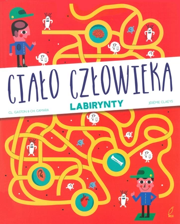 Ciało człowieka labirynty