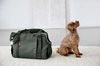 PALOPA Torba transportowa dla psa do 10kg Weda dark olive