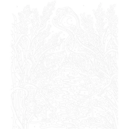 Zestaw kreatywny Malowanie po numerach Wspaniałe ptaki 2 obrazy 7+, Janod