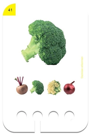 WiemTo Karty Rozpoznawanie Warzyw dla Dzieci 2+