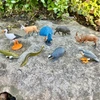 Safari Ltd. Zestaw Figurek Zwierzęta Europejskie