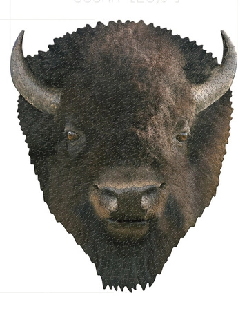 MADD CAPP, Puzzle konturowe I AM - Bizon 550 elem.