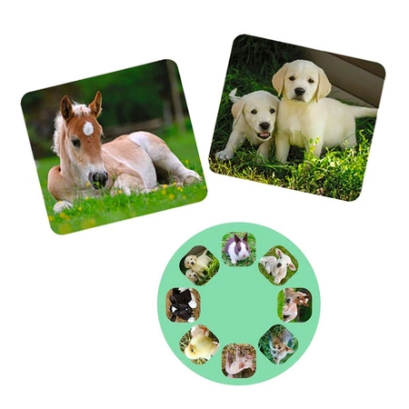 Latarka, Mini Projektor, Małe Zwierzęta