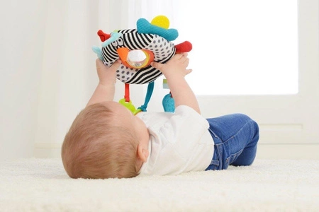 Zabawka sensoryczna Ptaszek, Dolce