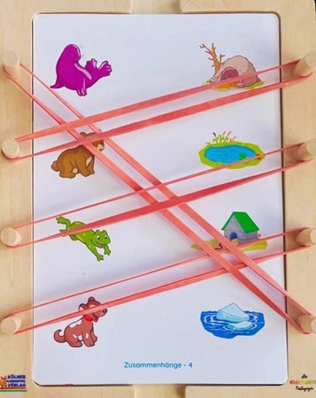 WiemTo Karty Edukacyjne Znajdź Parę Logika Lemo