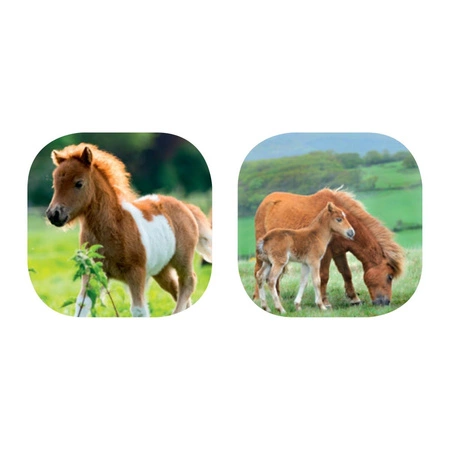 Latarka, Mini Projektor, Konie