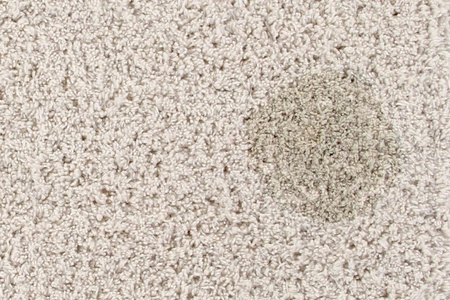 Lorena Canals Dywan bawełniany Hippy Dots Natural Olive 120 x 160 cm