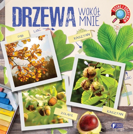 Drzewa wokół mnie. Rosnę i odkrywam