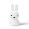MrMaria Miffy Shines