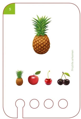 WiemTo Karty Rozpoznawanie Owoców dla Dzieci 2+