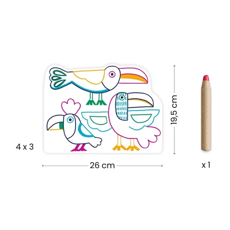 Magiczne kolorowanki - DZIKIE RODZINKI DJ00066