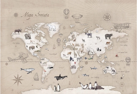 MAPS Taupe Tapeta Malumi