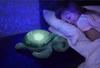 Cloud b®Tranquil Turtle™ Żółw podwodny zielony - Lampka i pozytywka