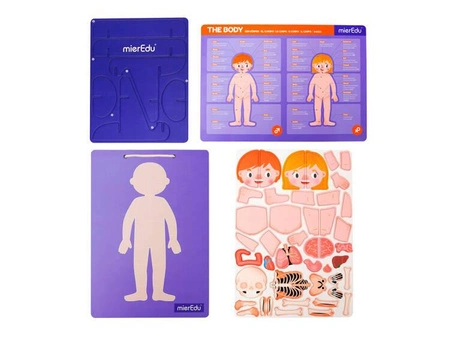 mierEdu Zabawa magnetyczna - Ciało człowieka ME0511