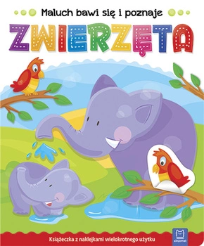 Zwierzęta maluch bawi się i poznaje