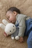 Tiamo Miffy Przytulanka 25 cm Fluffy Blue NIJN915