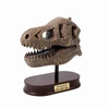 Muzeum czaszek dinozaura - TYRANOZAUR 2130
