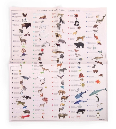 Kalkomania z plakatem ZWIERZĘTA ŚWIATA 719185