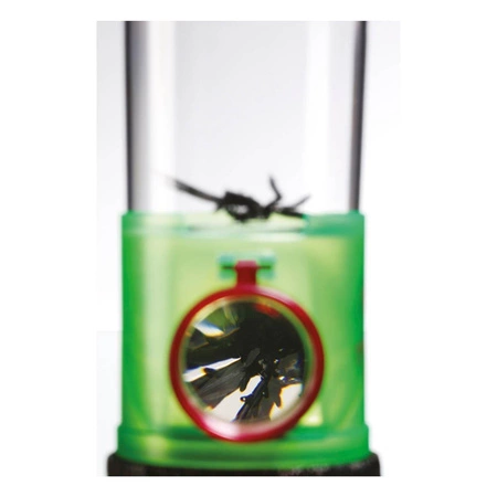 Pojemnik Do Obserwacji Owadów, z Trzema Lupami, Pająkiem z Tworzywa i Szczypczykami