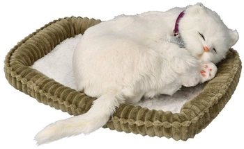 Zaaodoptuj mnie Kociak krótkowłosy biały oddychający