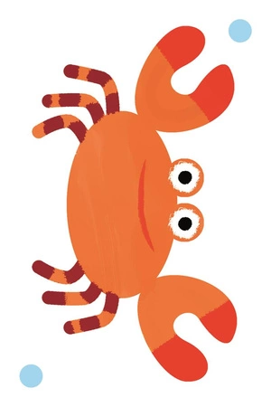 Gra Karciana W Wodzie Djeco BATAPLOUF