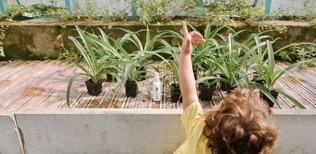 Linea MammaBaby - Spray odstraszający ow ady Baby Zeta 100ml