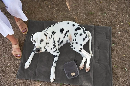 PALOPA Mata dla psa Alma anthracite S