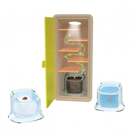 Mała szklarnia - obserwacja wzrostu roślinki M001