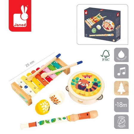 Zestaw zabawek muzycznych Gioia 18m+, Janod