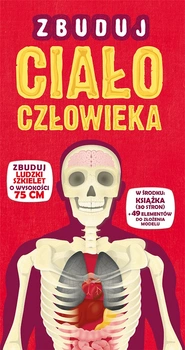 Zbuduj ciało człowieka