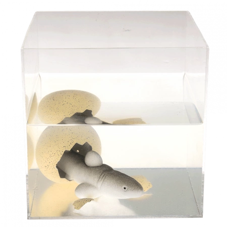 Rekin wykluwający się z jajka, zestaw kreatywny, Ocean, 3+, Rex London