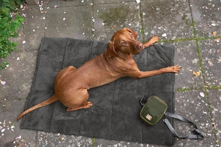 PALOPA Mata dla psa Alma anthracite S