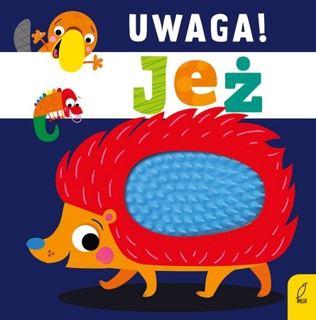 Uwaga! Jeż