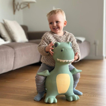 Skoczek Find that Hippo - Dinozaur