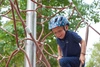 KASK Bobike KIDS Plus size S - NAVY STARS