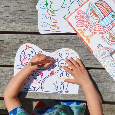 Magiczne kolorowanki - DZIKIE RODZINKI DJ00066