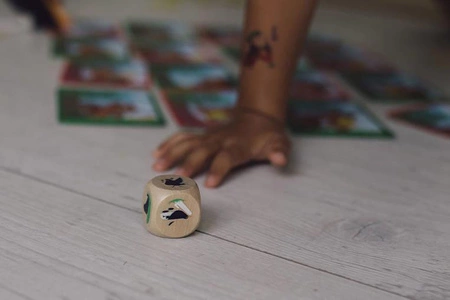 Gra zręcznościowa Serowa bitwa 4+, Janod