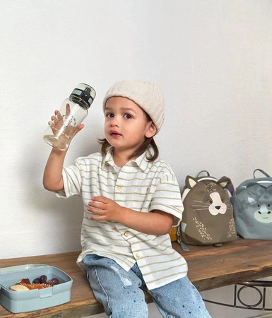 Lassig Zestaw na lunch Lunchbox + Tritanowa butelka - bidon 460 ml About Friends Dinozaur