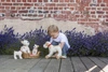 Przytulanka Piesek Eliot duży | Egmont Toys®