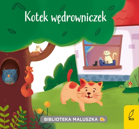 Kotek wędrowniczek