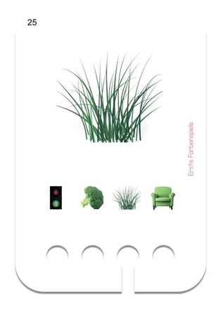 WiemTo Karty Zabawy z Kolorami dla Dzieci 2 Latka