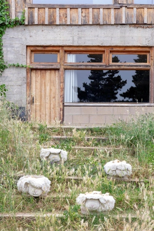 Kosz Pink Nose Sheep Lorena Canals