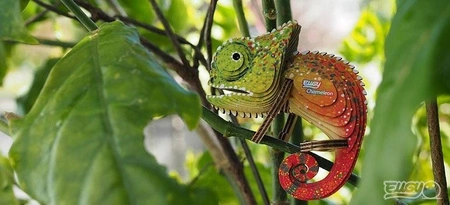 Eugy Układanka Eko 3D Kameleon